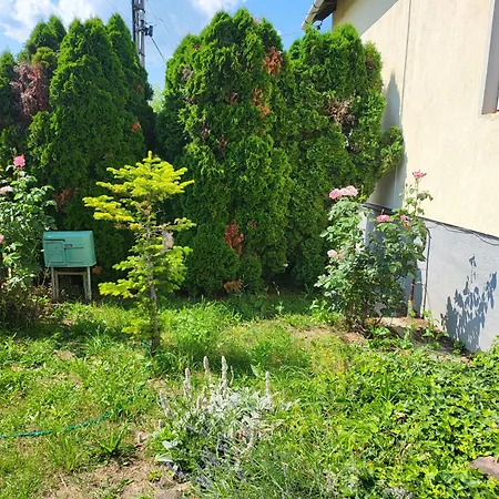 Kali Medence Kapuja 1